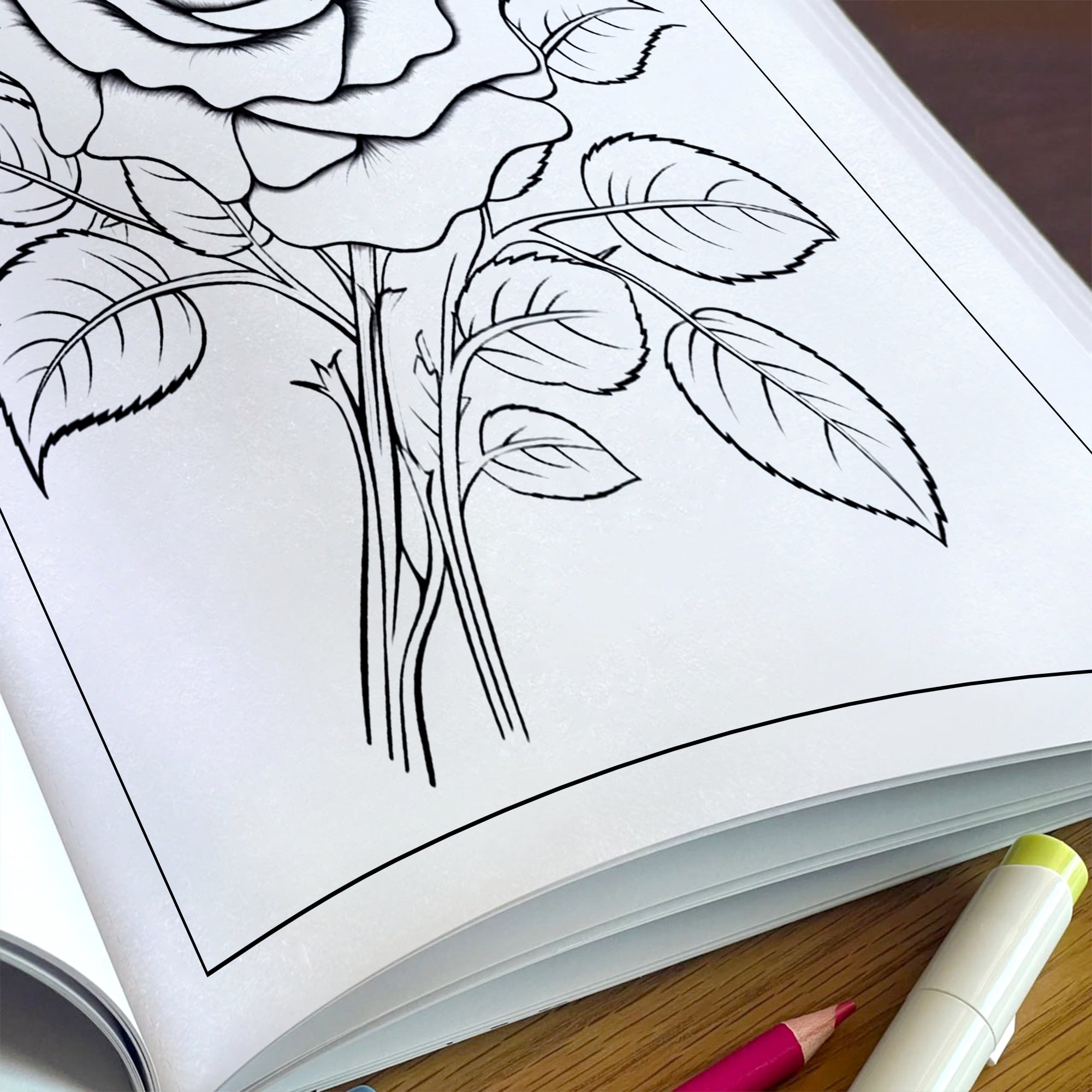 Timeless Roses Coloring Pages – 48 Pages – Beautiful Rose Designs, Floral Art, For Adults