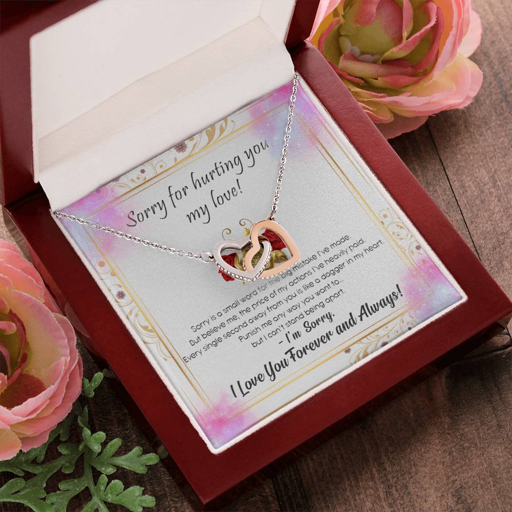 Sorry For Hurting You My Love Interlocking Hearts Necklace