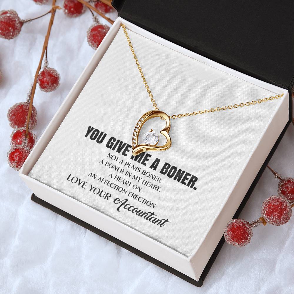 You Give Me A Heart Boner An Affection Erection Funny & Sarcastic Love For Her ♥ Mature Best Funny Gag Gifts For Accountant Wife On Special Days Forever Love Necklace